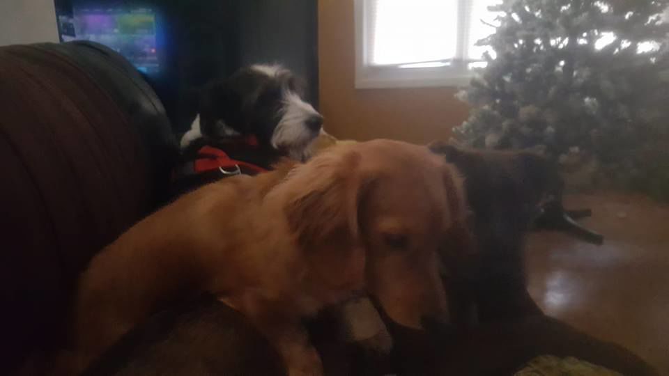 Best friends!